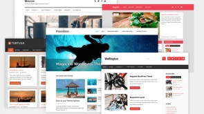 themes-wordpress-rapides-1024x683.png